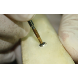 Neobiotech Fixture Remover Screw in use